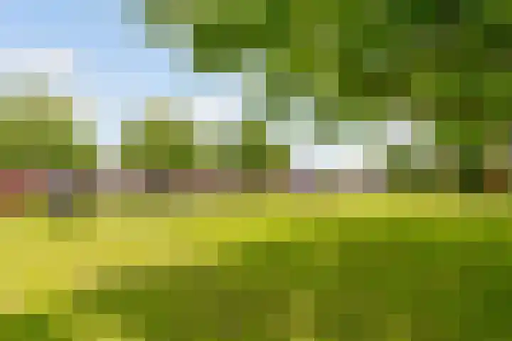 Goudastraat 3 Almere thumbnail 44