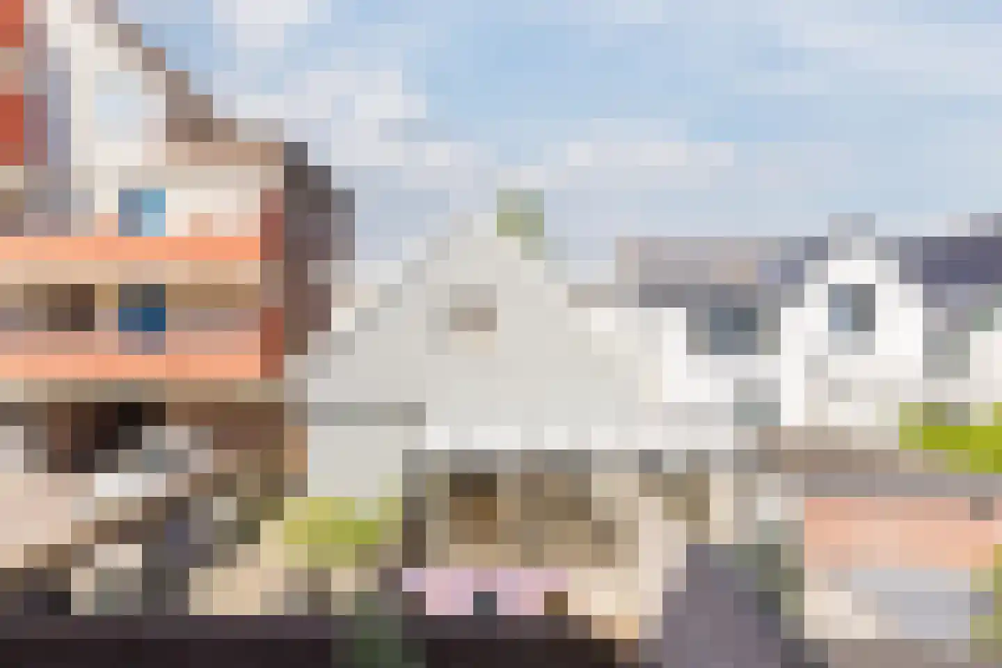 Goudastraat 45 Wormerveer thumbnail 23