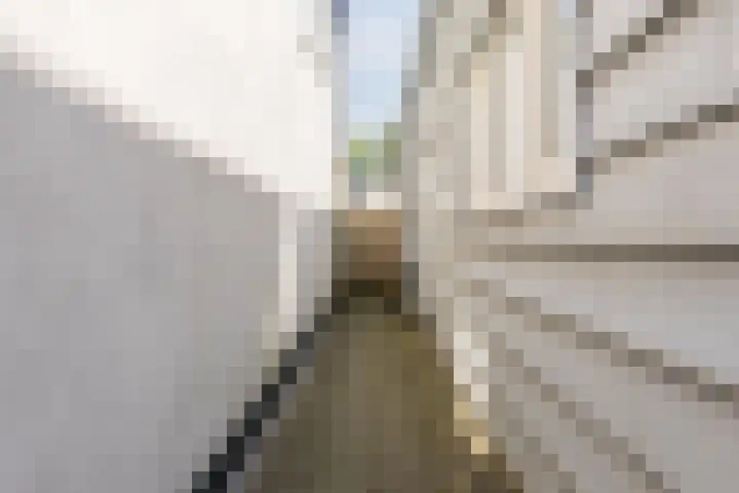 Goudastraat 45 Wormerveer thumbnail 24