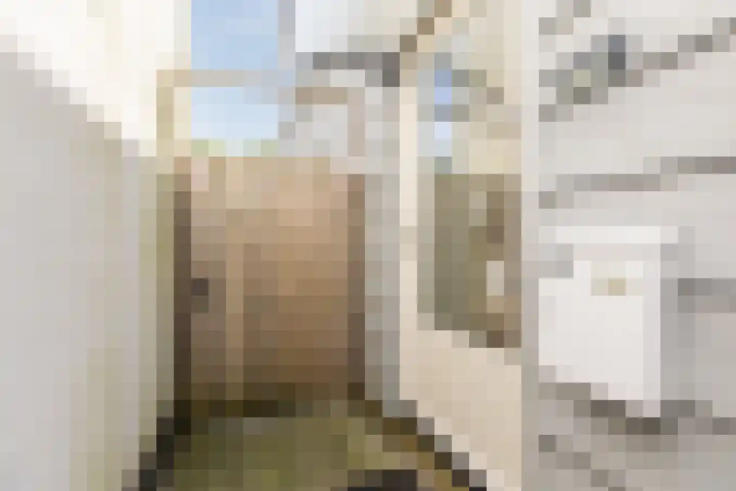 Goudastraat 45 Wormerveer thumbnail 25