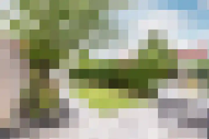 Goudastraat 5 Almere thumbnail 6