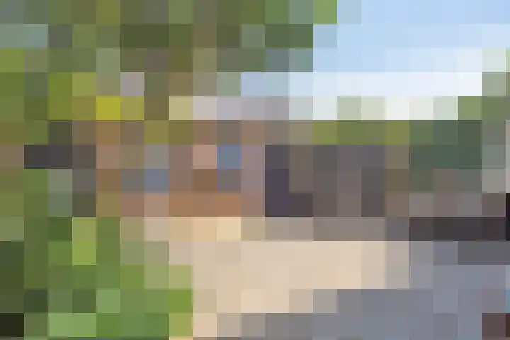Goudastraat 5 Wormerveer thumbnail 20