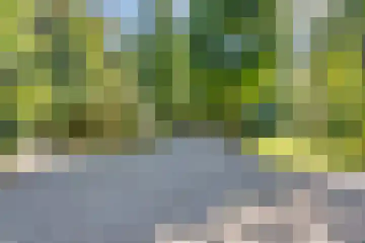 Goudastraat 5 Wormerveer thumbnail 38