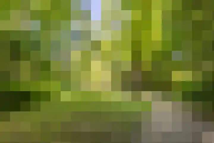 Goudastraat 54 Wormerveer thumbnail 34