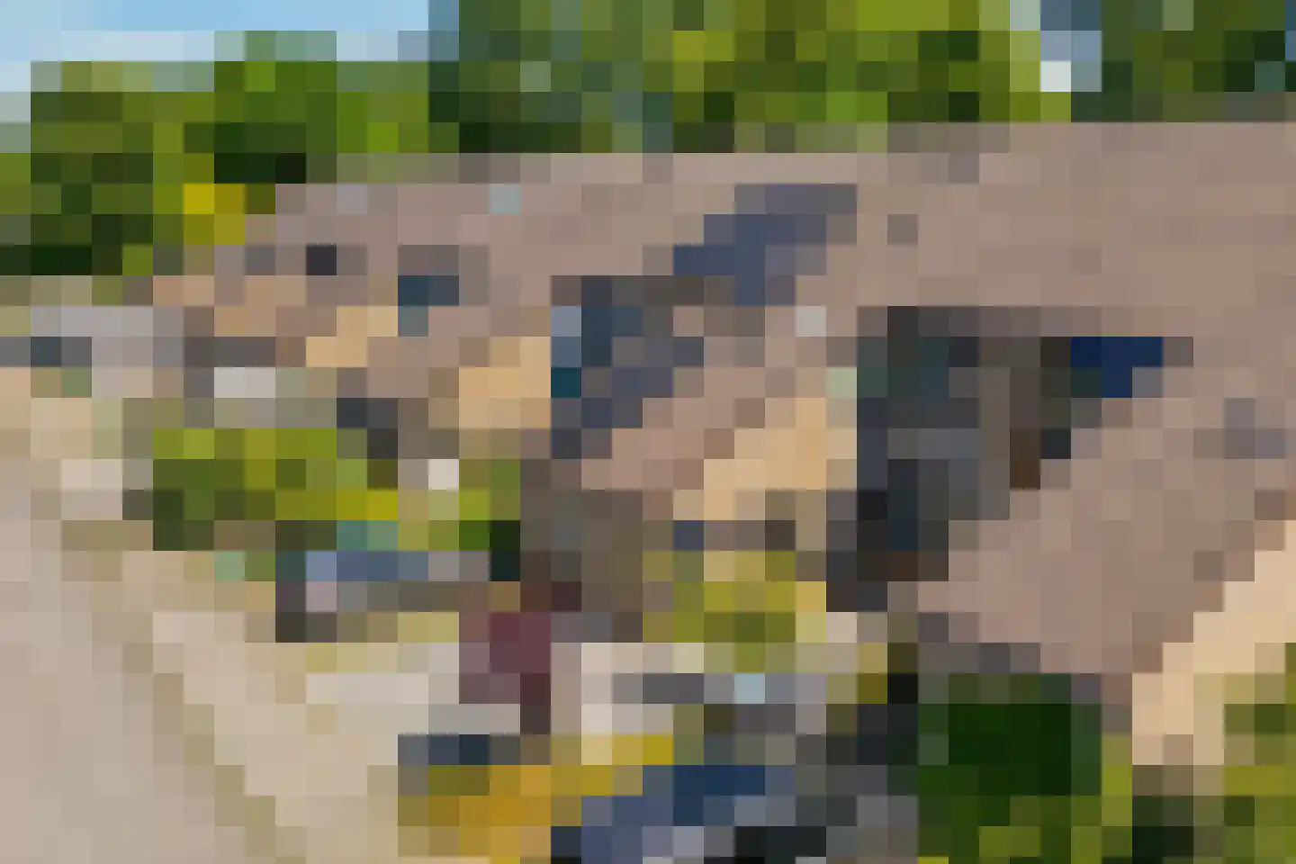 Goudaweg 29 Arnhem thumbnail 41