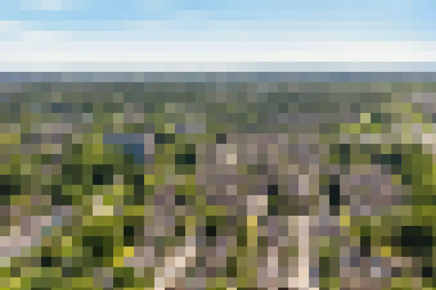 Goudaweg 29 Arnhem thumbnail 42
