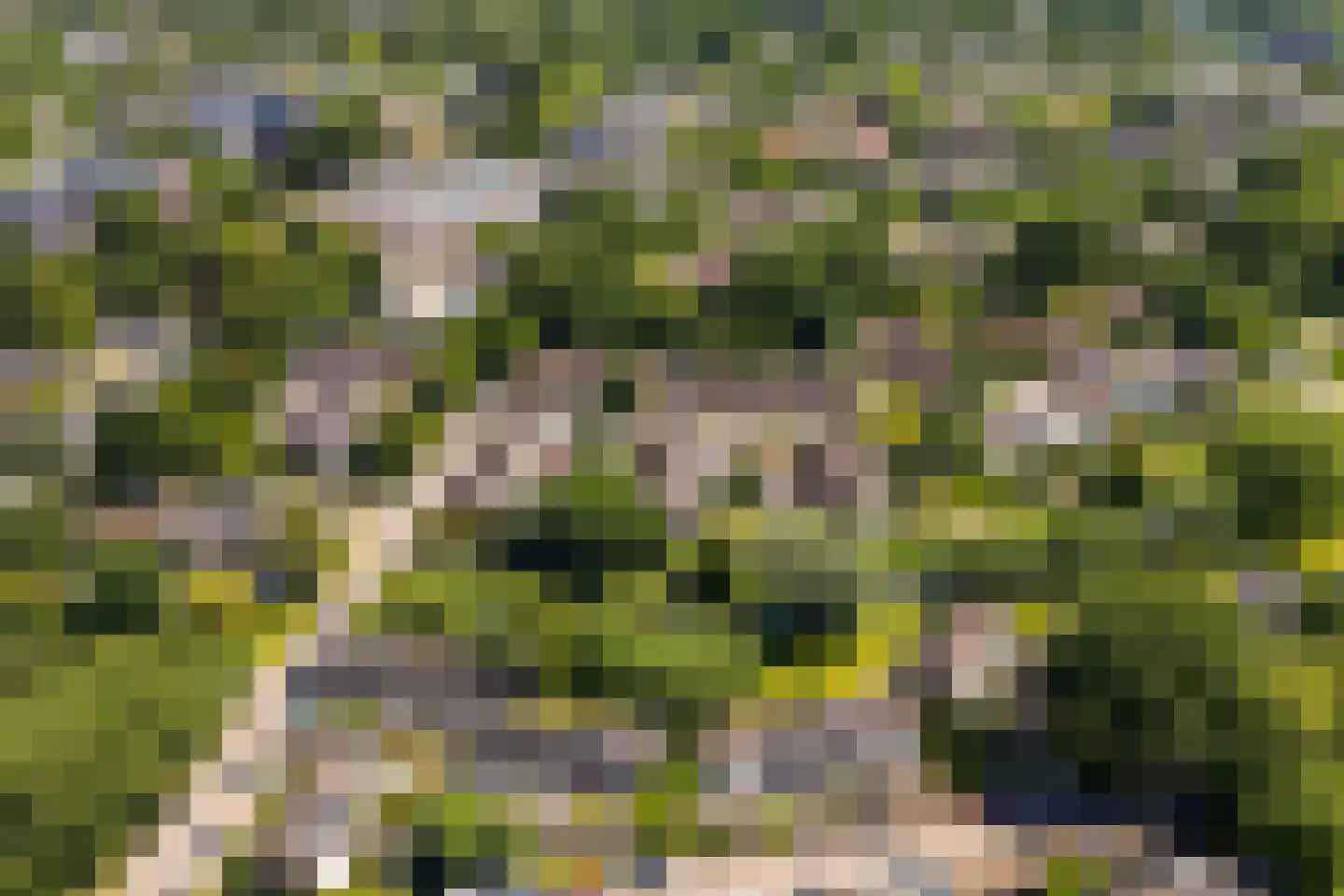 Goudaweg 29 Arnhem thumbnail 43