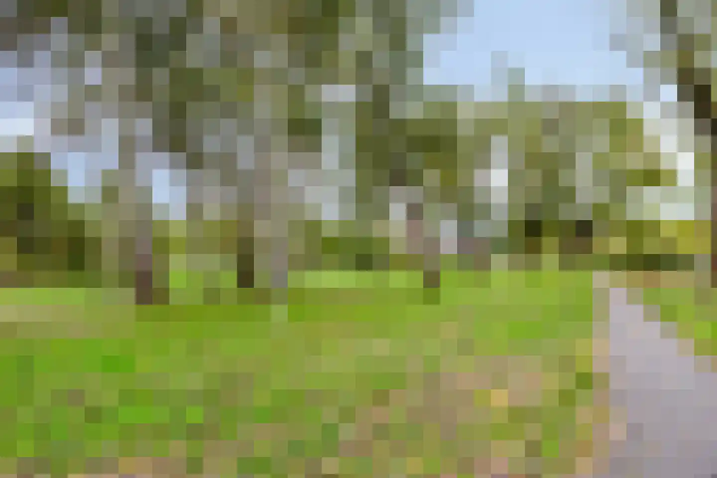 Goudbergstraat 34 Waalre thumbnail 4