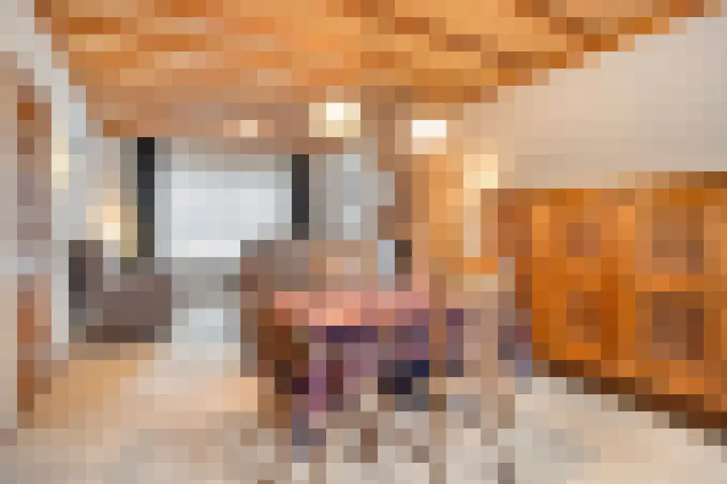 Goudbergstraat 34 Waalre thumbnail 9