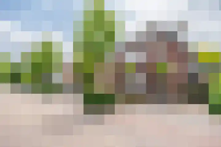 Goudbergstraat 54 Waalre thumbnail 41