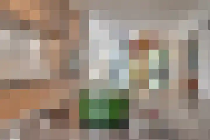 Goudbergstraat 54 Waalre thumbnail 7