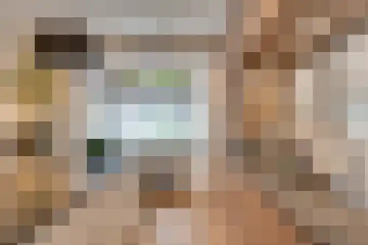Goudbergstraat 54 Waalre thumbnail 9