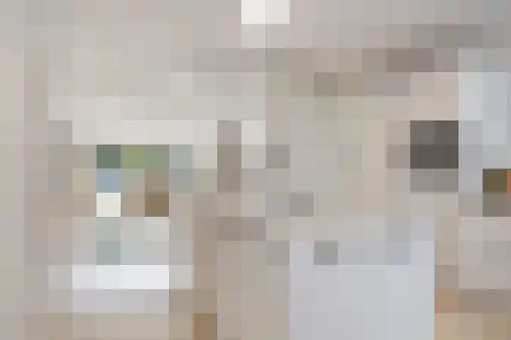 Gouddonk 5 Breda thumbnail 10
