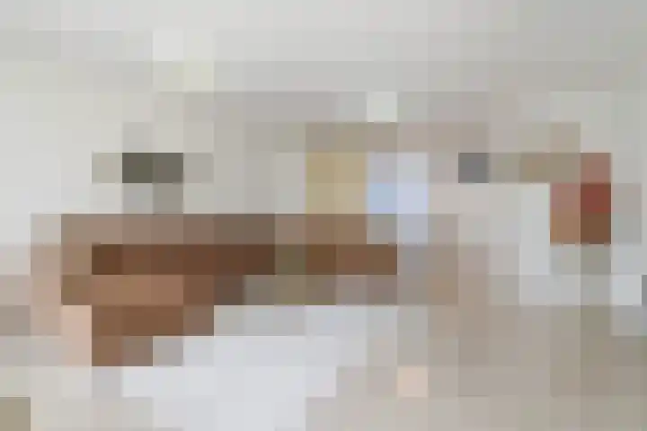 Gouddonk 5 Breda thumbnail 11