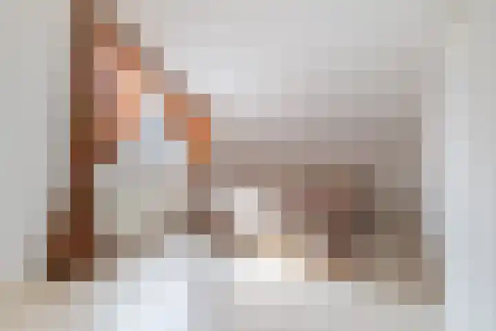 Gouddonk 5 Breda thumbnail 18