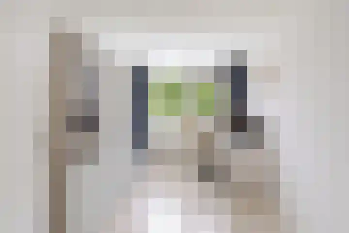 Gouddonk 5 Breda thumbnail 20