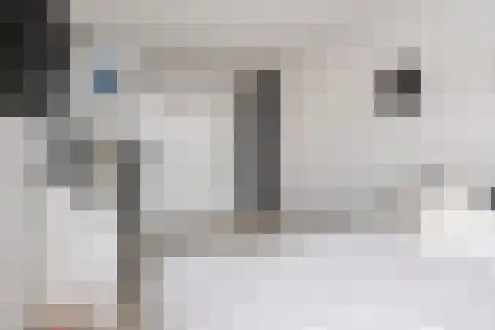 Gouddonk 5 Breda thumbnail 23