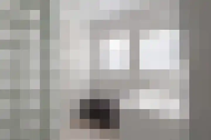 Gouddonk 5 Breda thumbnail 24
