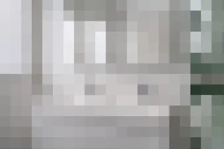 Gouddonk 5 Breda thumbnail 25