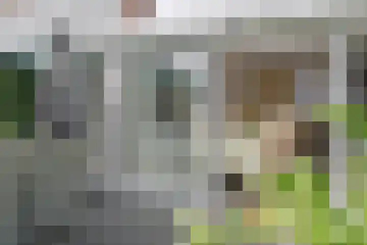 Gouddonk 5 Breda thumbnail 30