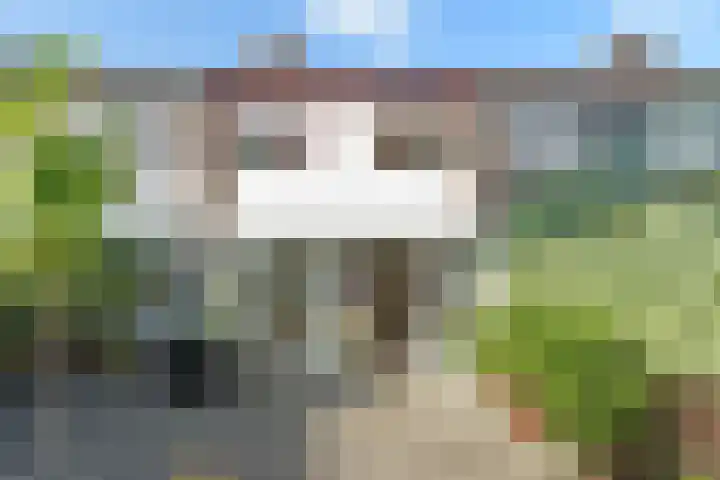 Gouddonk 5 Breda thumbnail 31