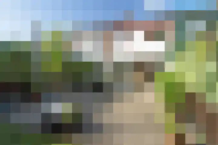 Gouddonk 5 Breda thumbnail 32