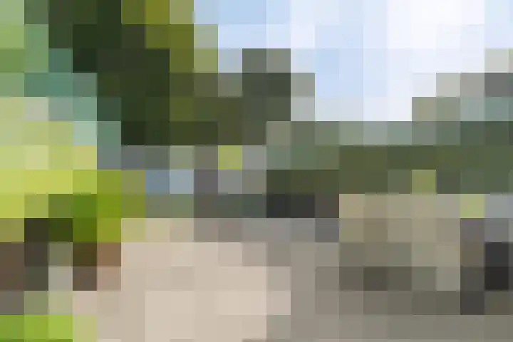 Gouddonk 5 Breda thumbnail 34