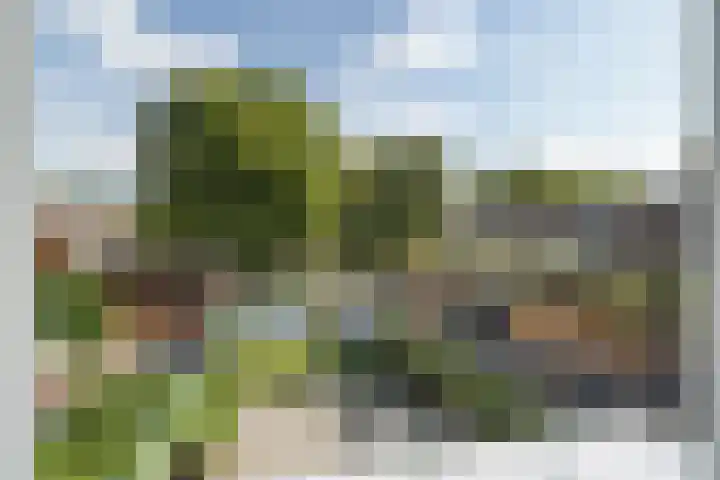 Gouddonk 5 Breda thumbnail 35