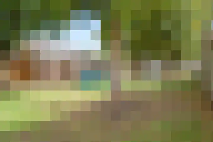 Gouddonk 5 Breda thumbnail 37
