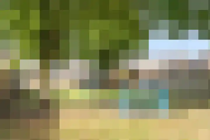 Gouddonk 5 Breda thumbnail 38