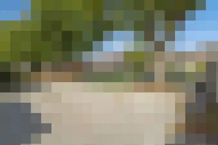 Gouddonk 5 Breda thumbnail 39