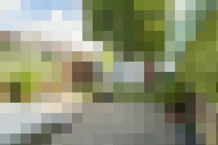Gouddonk 5 Breda thumbnail 4