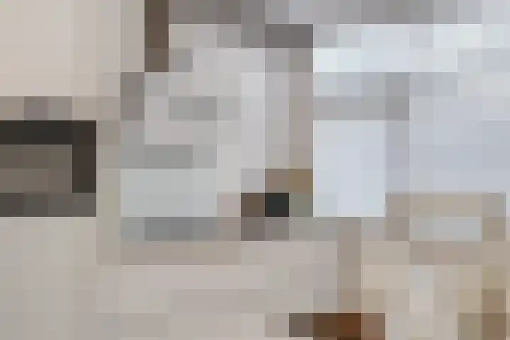Gouddonk 5 Breda thumbnail 8