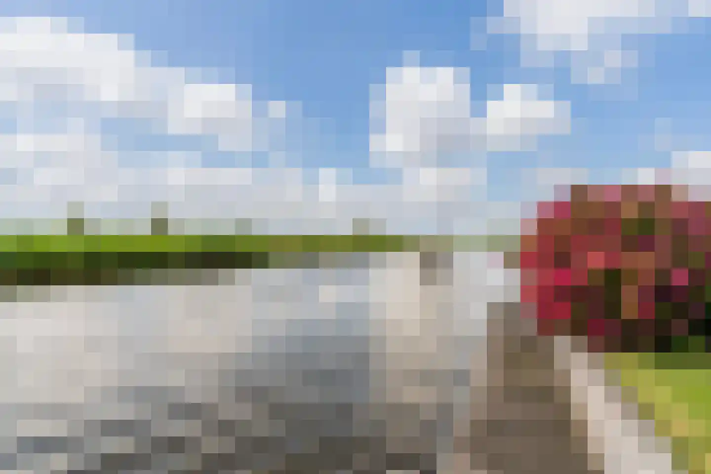 Gouden Boaijum 138 Heeg thumbnail 45