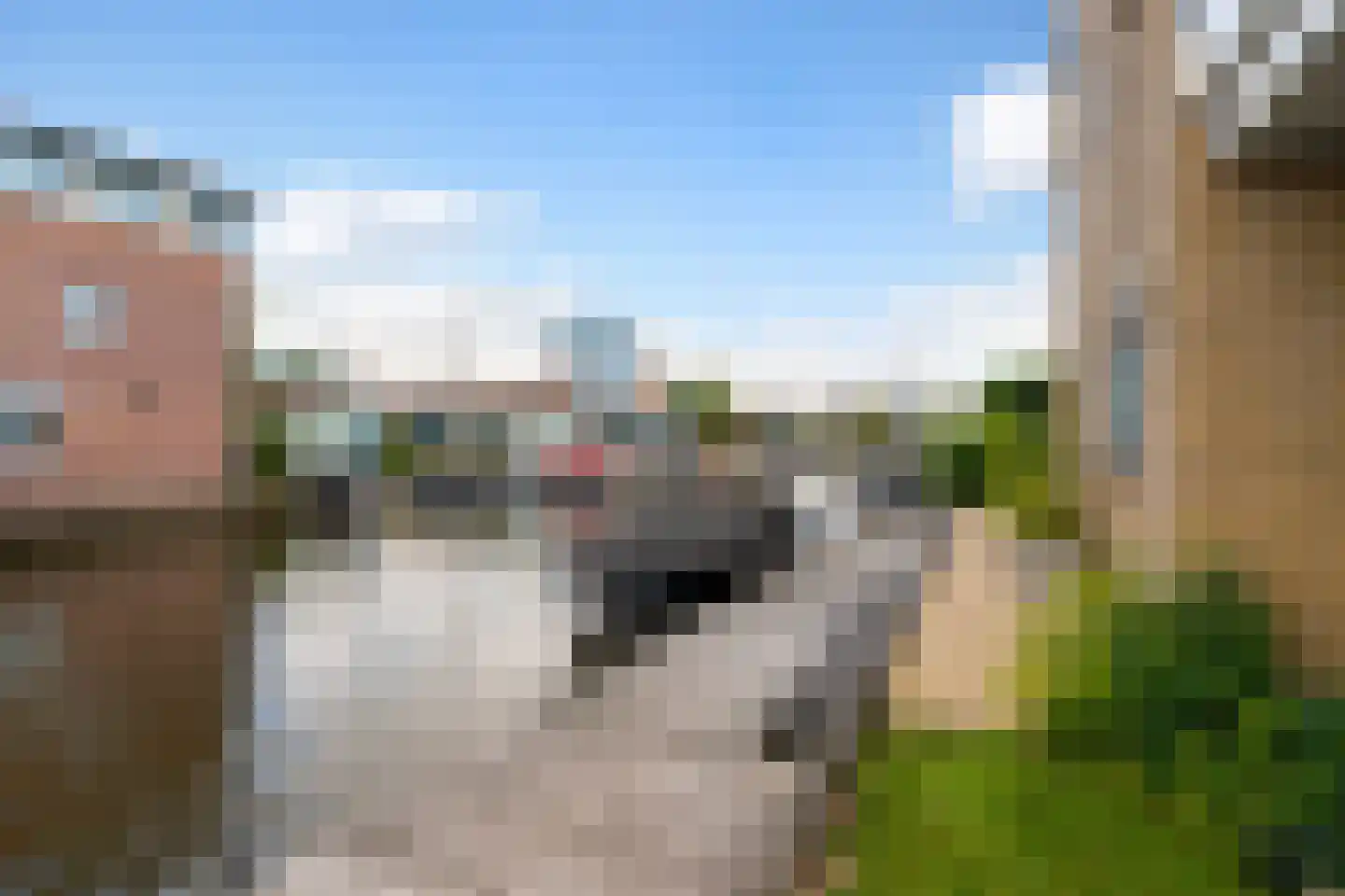 Gouden Boaijum 138 Heeg thumbnail 51