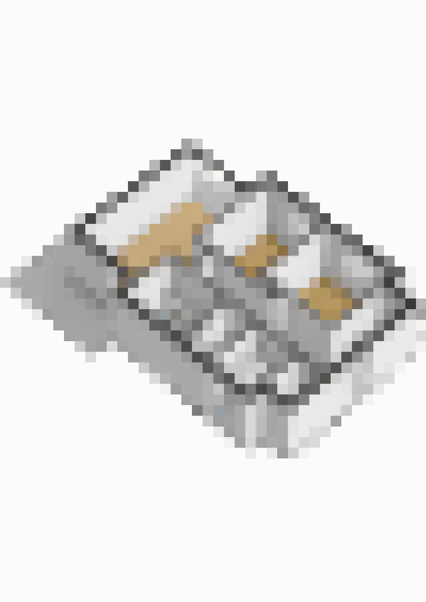 Gouden Boaijum 138 Heeg thumbnail 72
