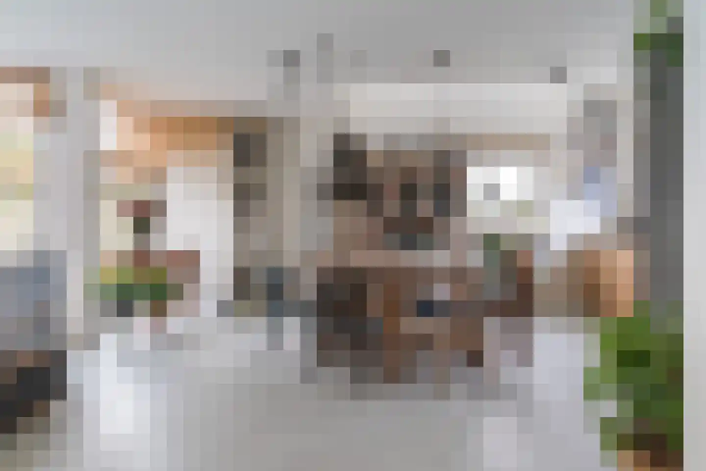 Gouden Boaijum 14 F Heeg thumbnail 12