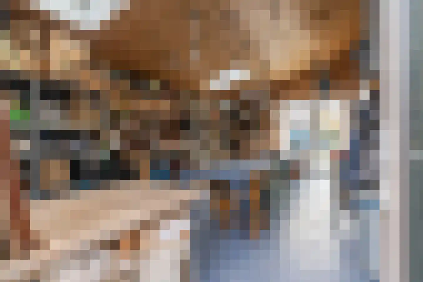Gouden Boaijum 14 F Heeg thumbnail 36