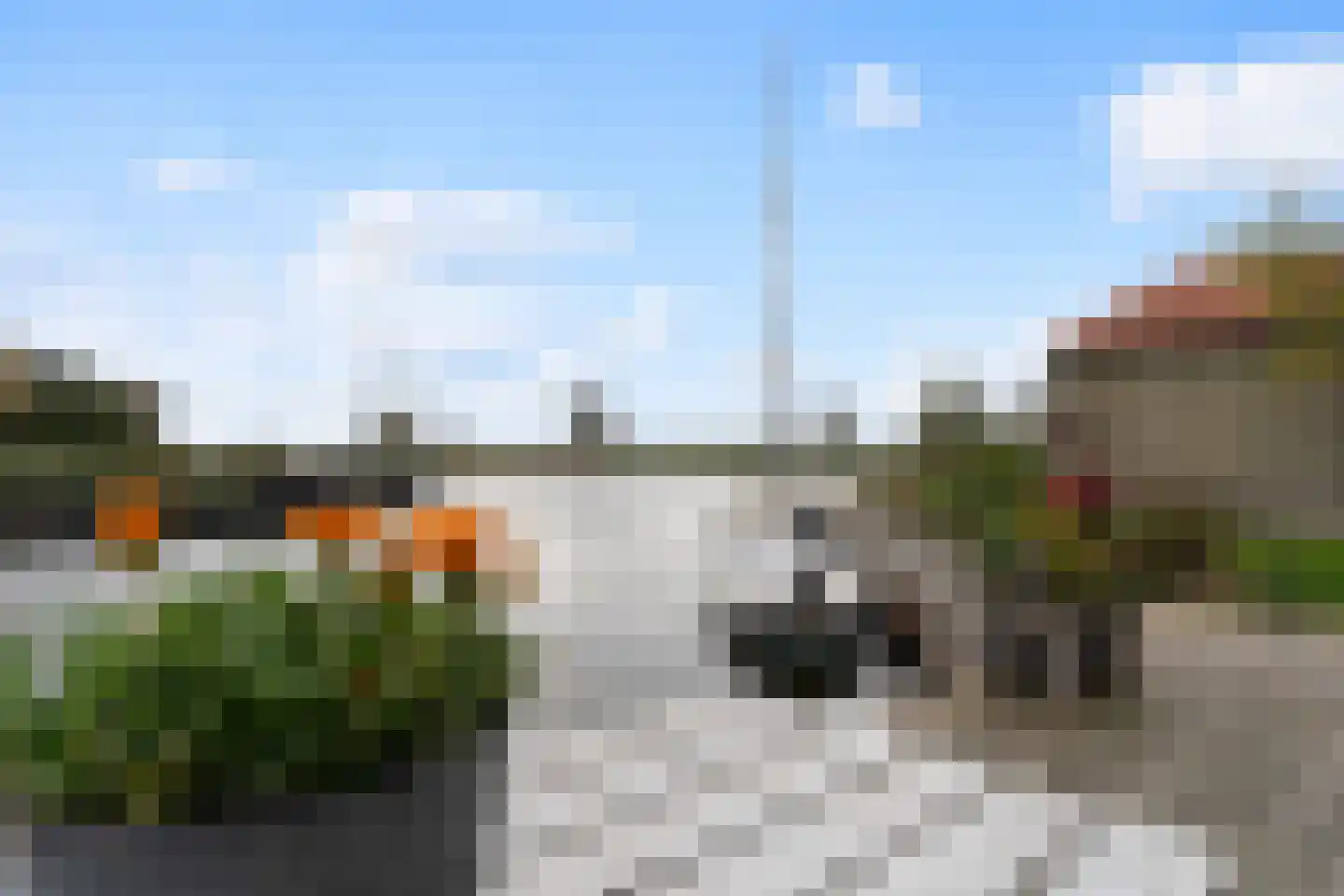 Gouden Boaijum 14 F Heeg thumbnail 43