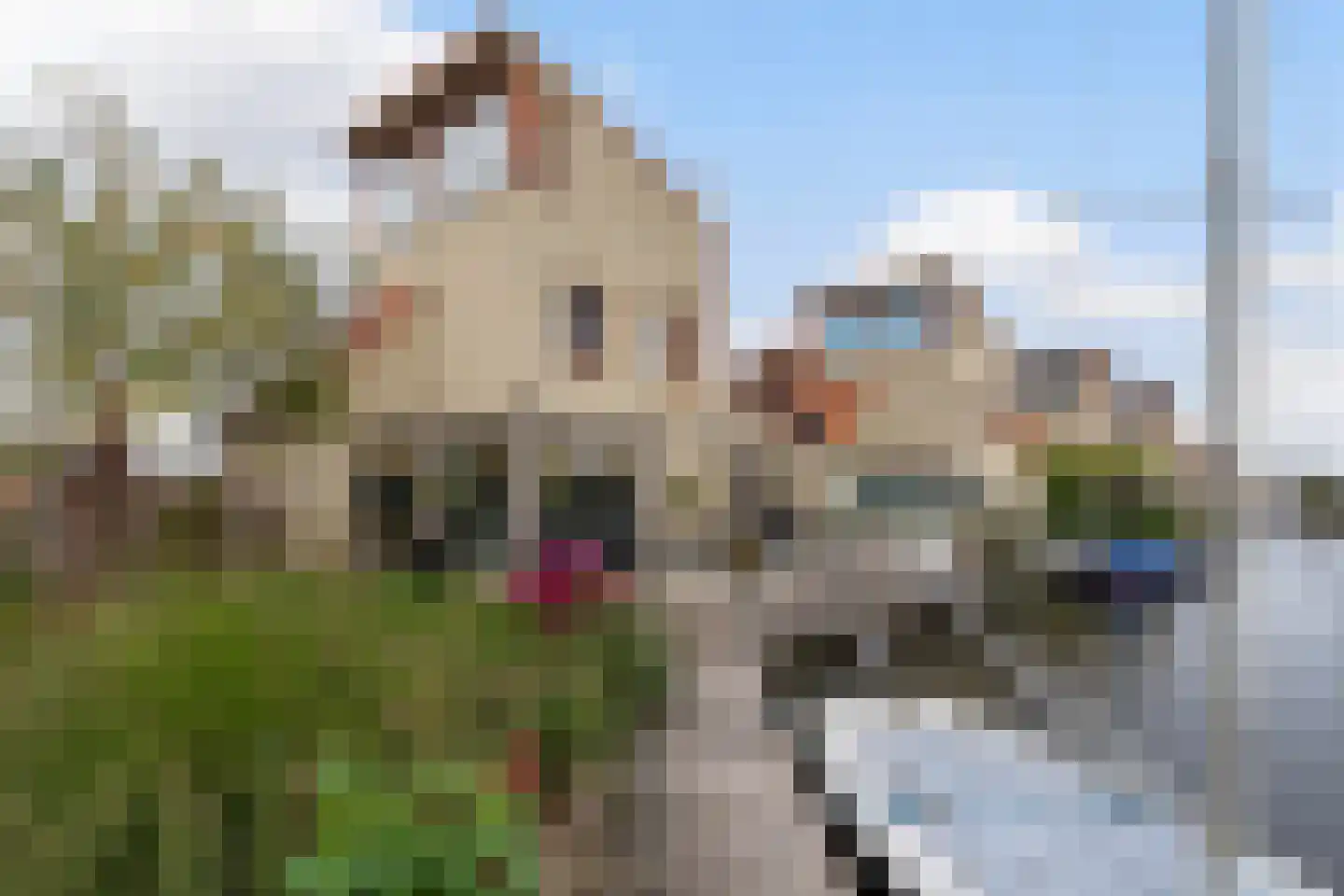 Gouden Boaijum 14 F Heeg thumbnail 47