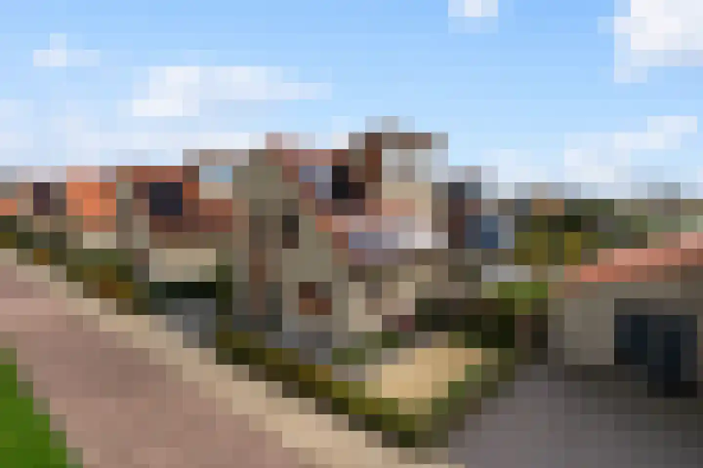 Gouden Boaijum 14 F Heeg thumbnail 52