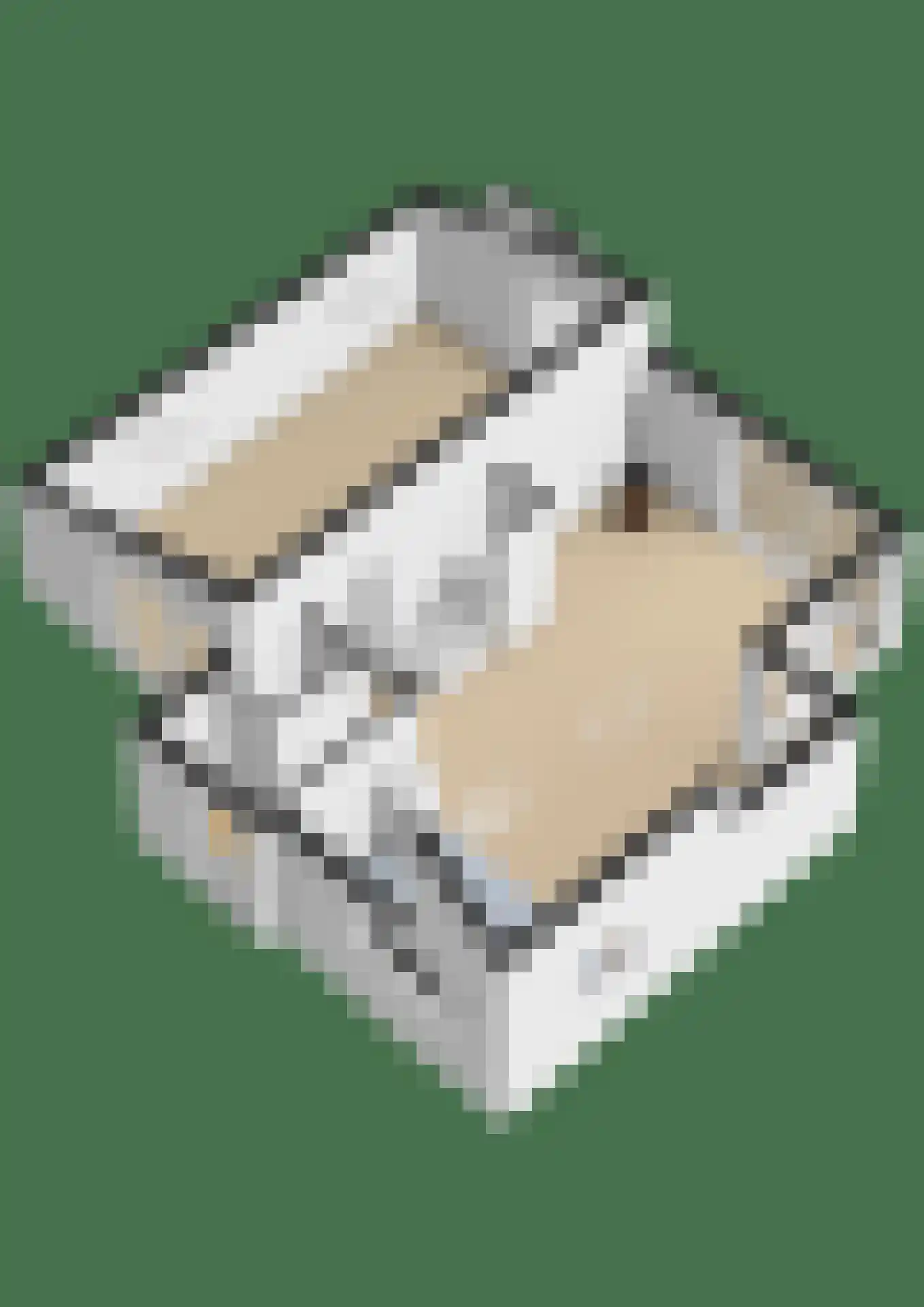 Gouden Boaijum 14 F Heeg thumbnail 68
