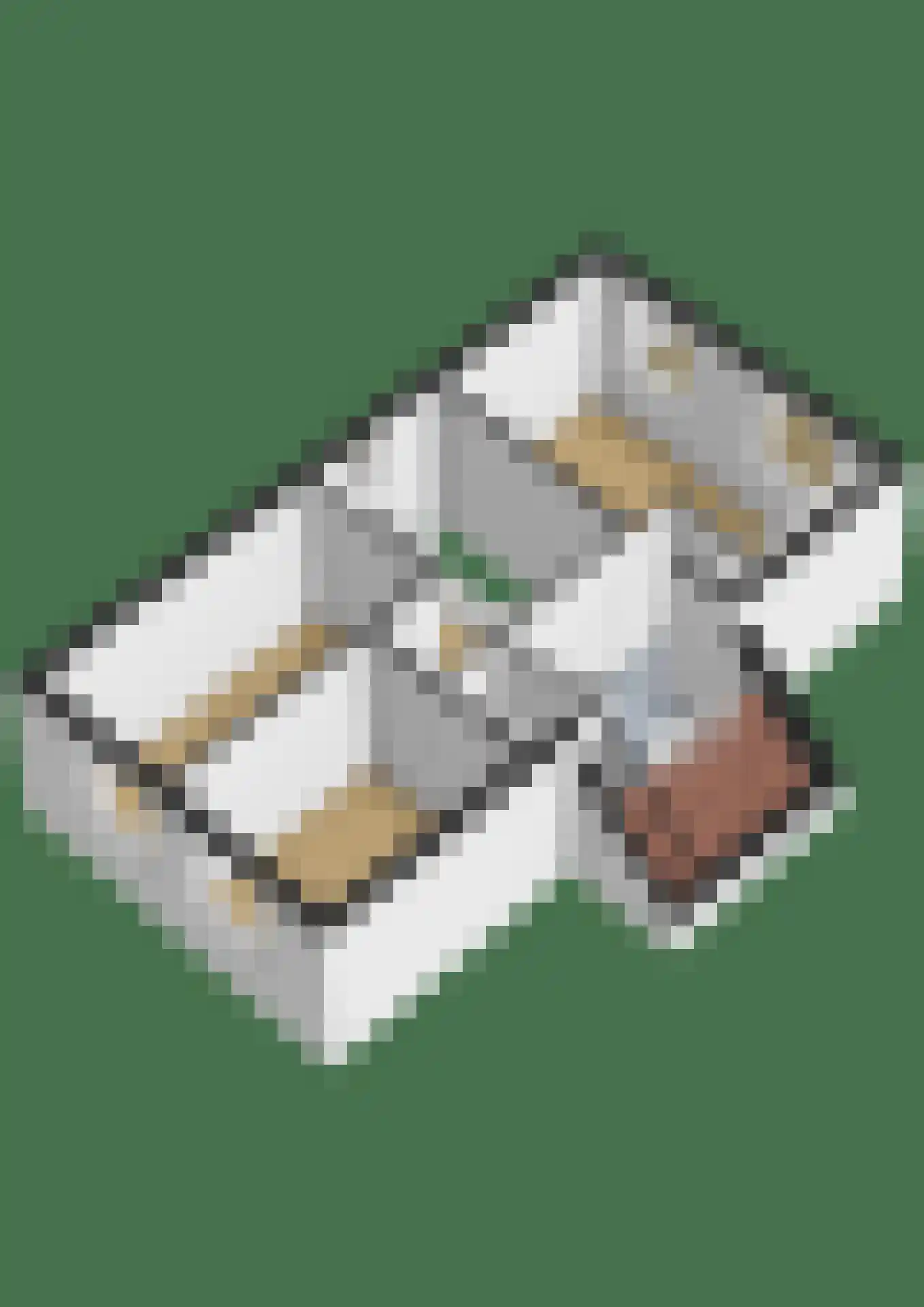 Gouden Boaijum 14 F Heeg thumbnail 69