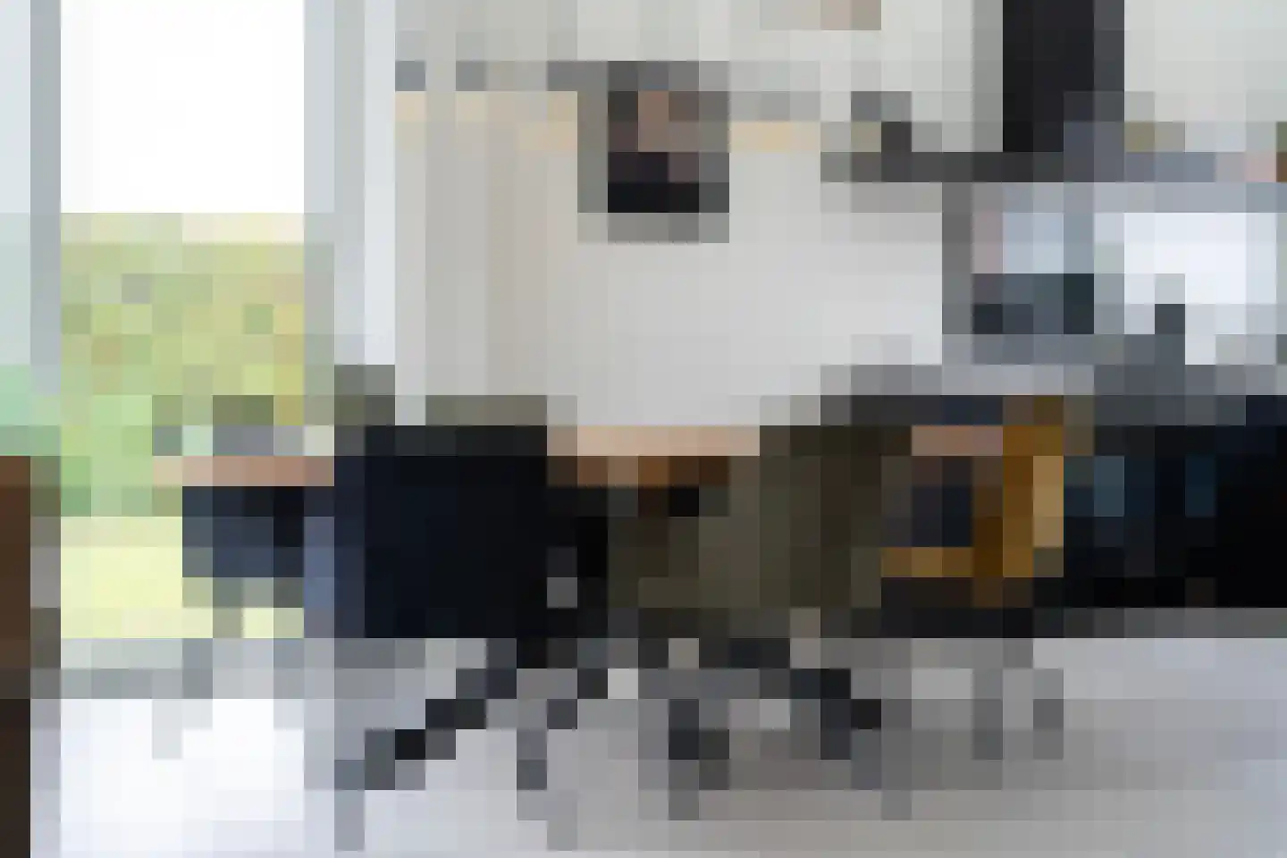 Gouden Boaijum 14 L Heeg thumbnail 12
