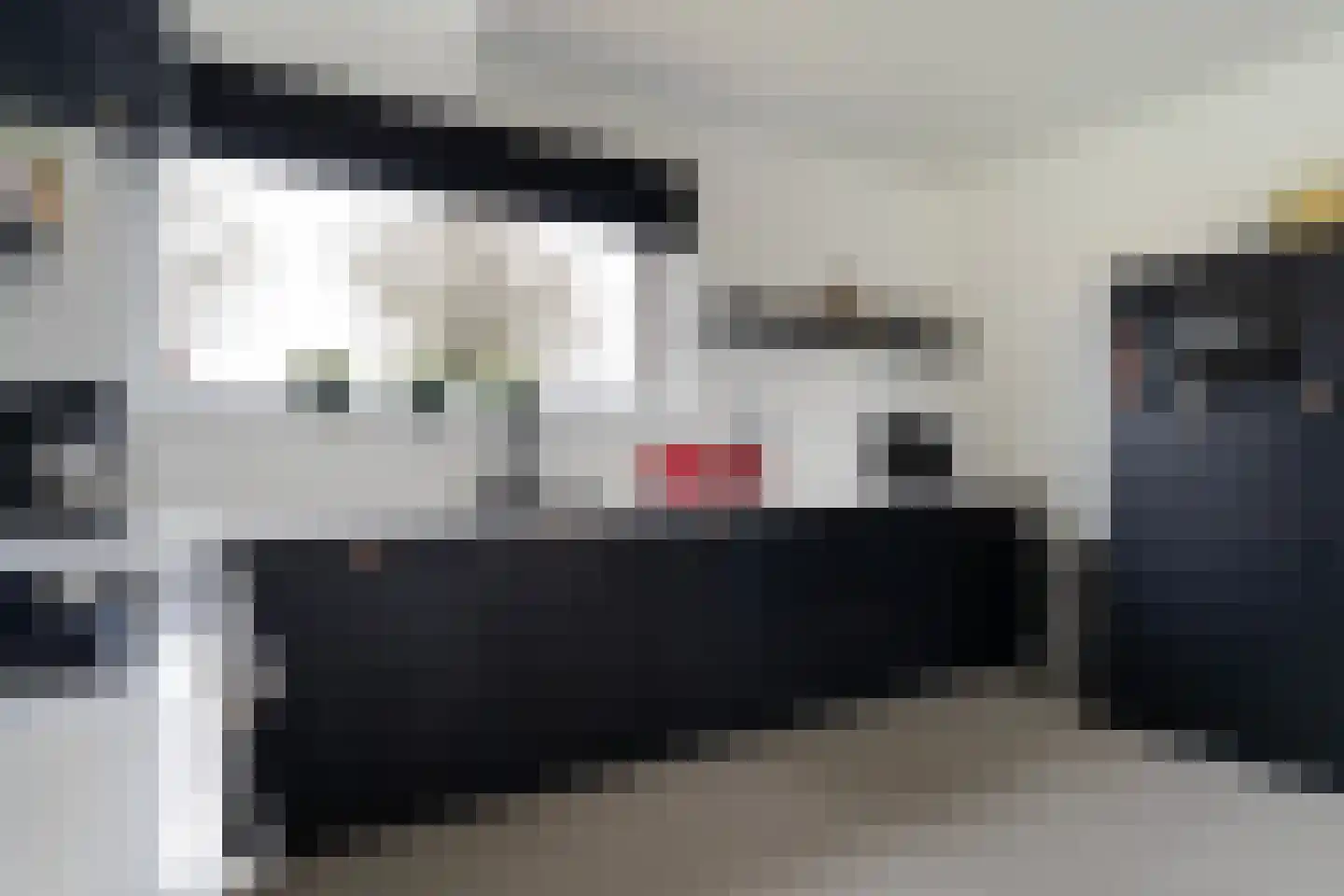 Gouden Boaijum 14 L Heeg thumbnail 18