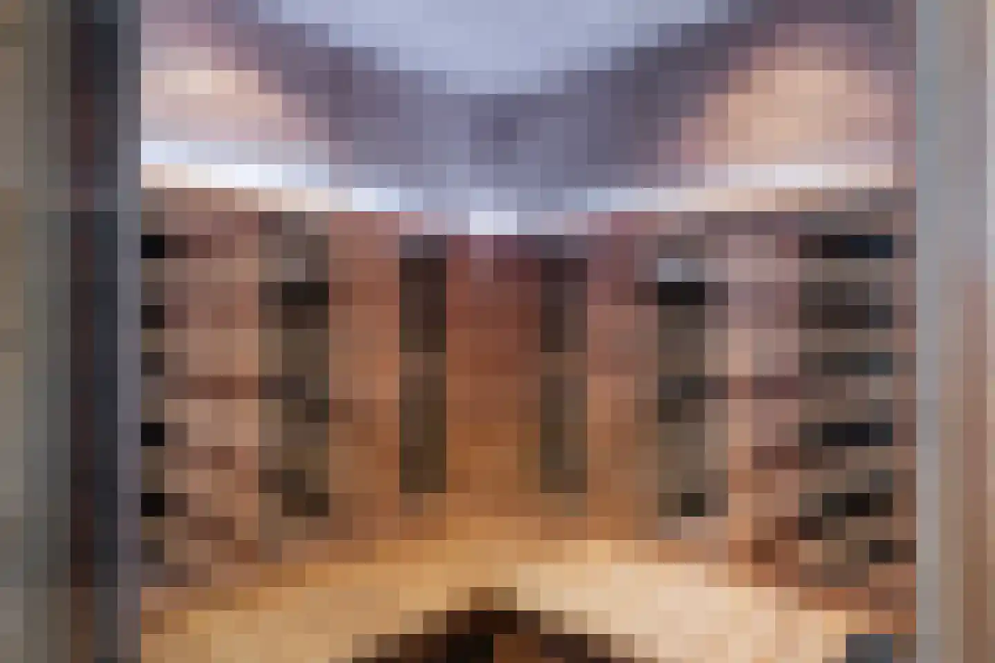Gouden Boaijum 14 L Heeg thumbnail 24