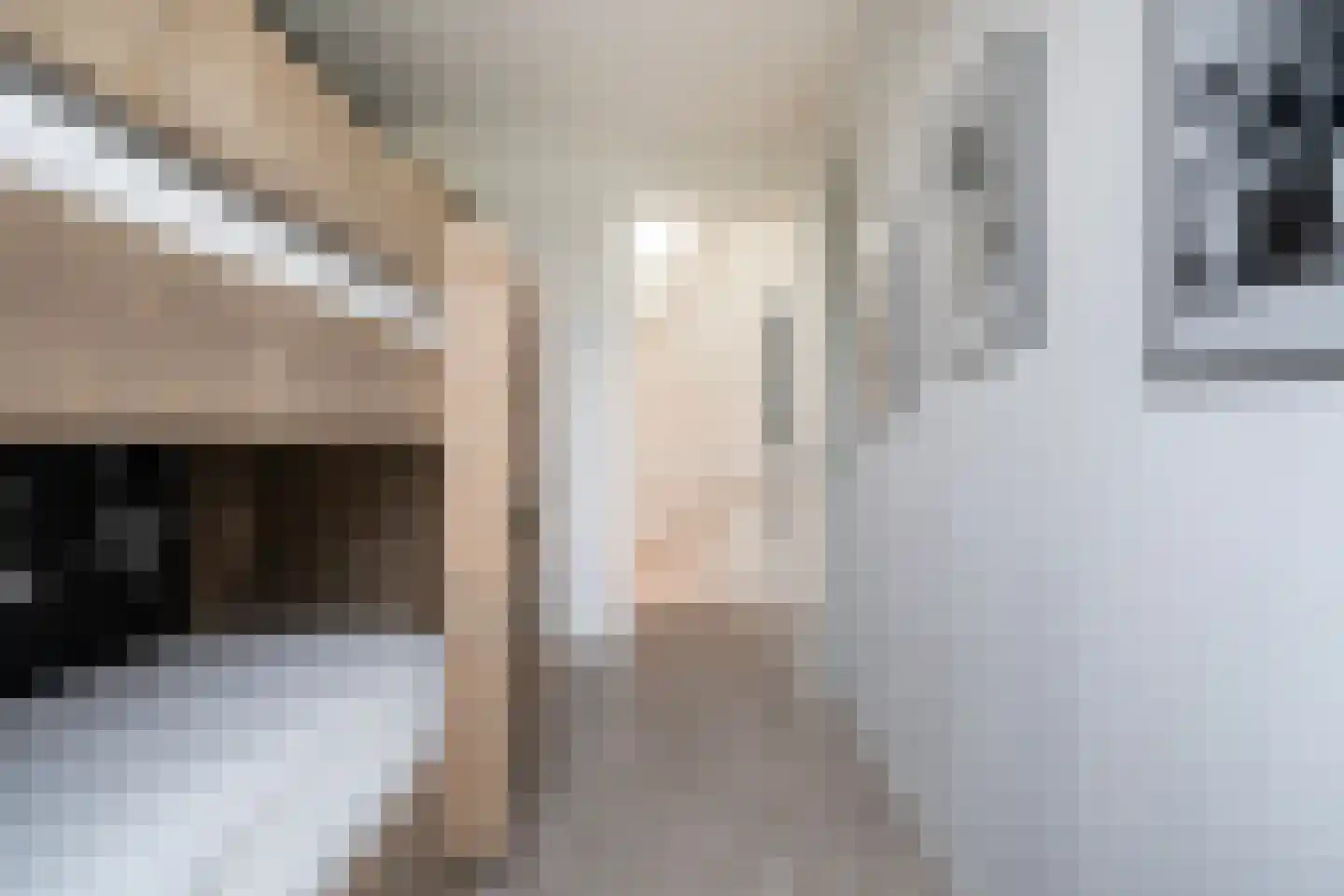Gouden Boaijum 14 L Heeg thumbnail 31