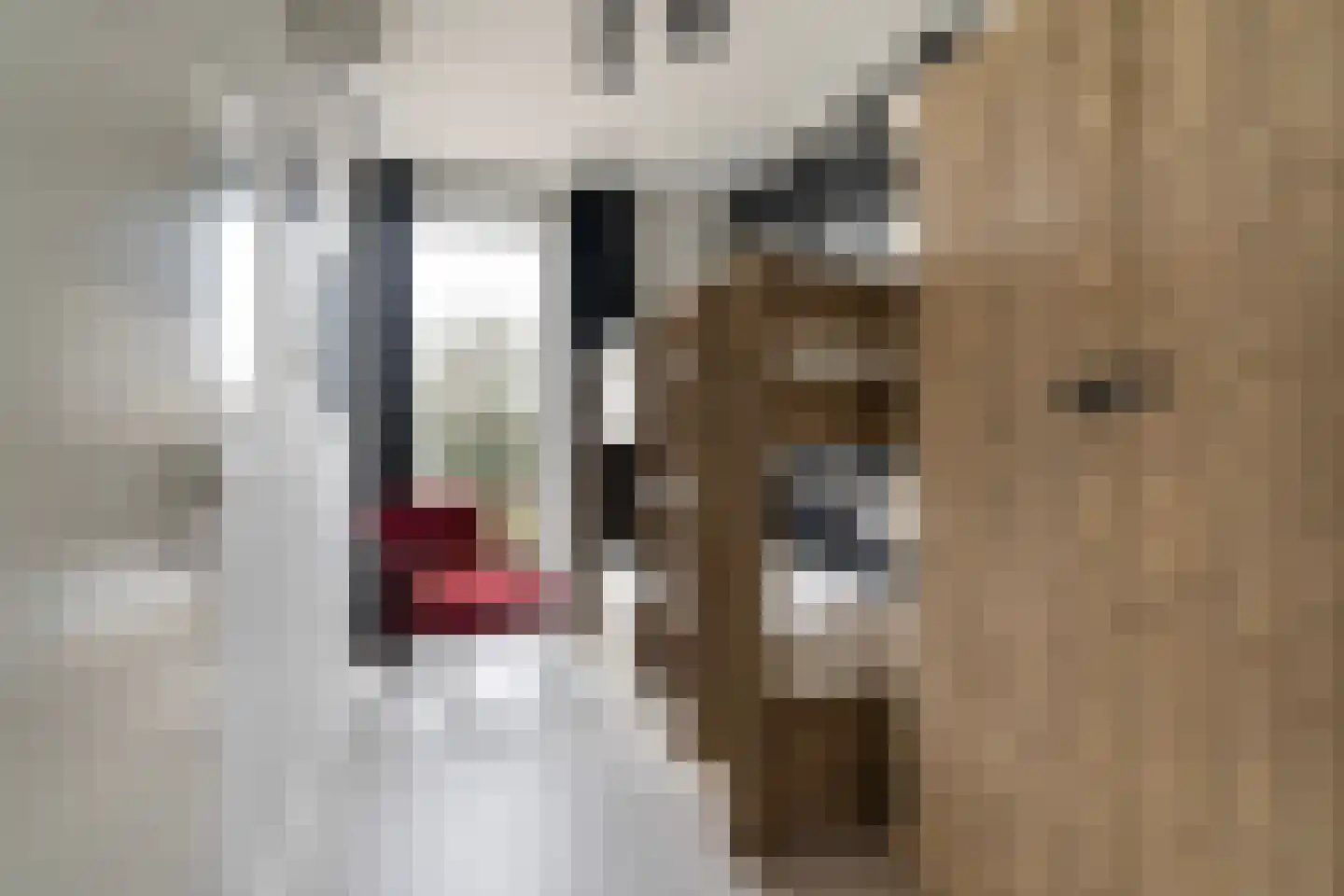 Gouden Boaijum 14 L Heeg thumbnail 32