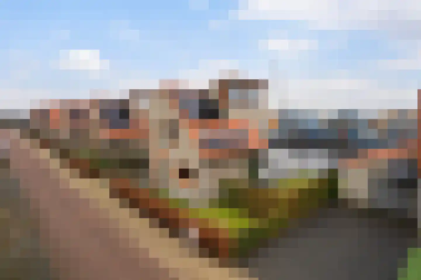 Gouden Boaijum 14 L Heeg thumbnail 4