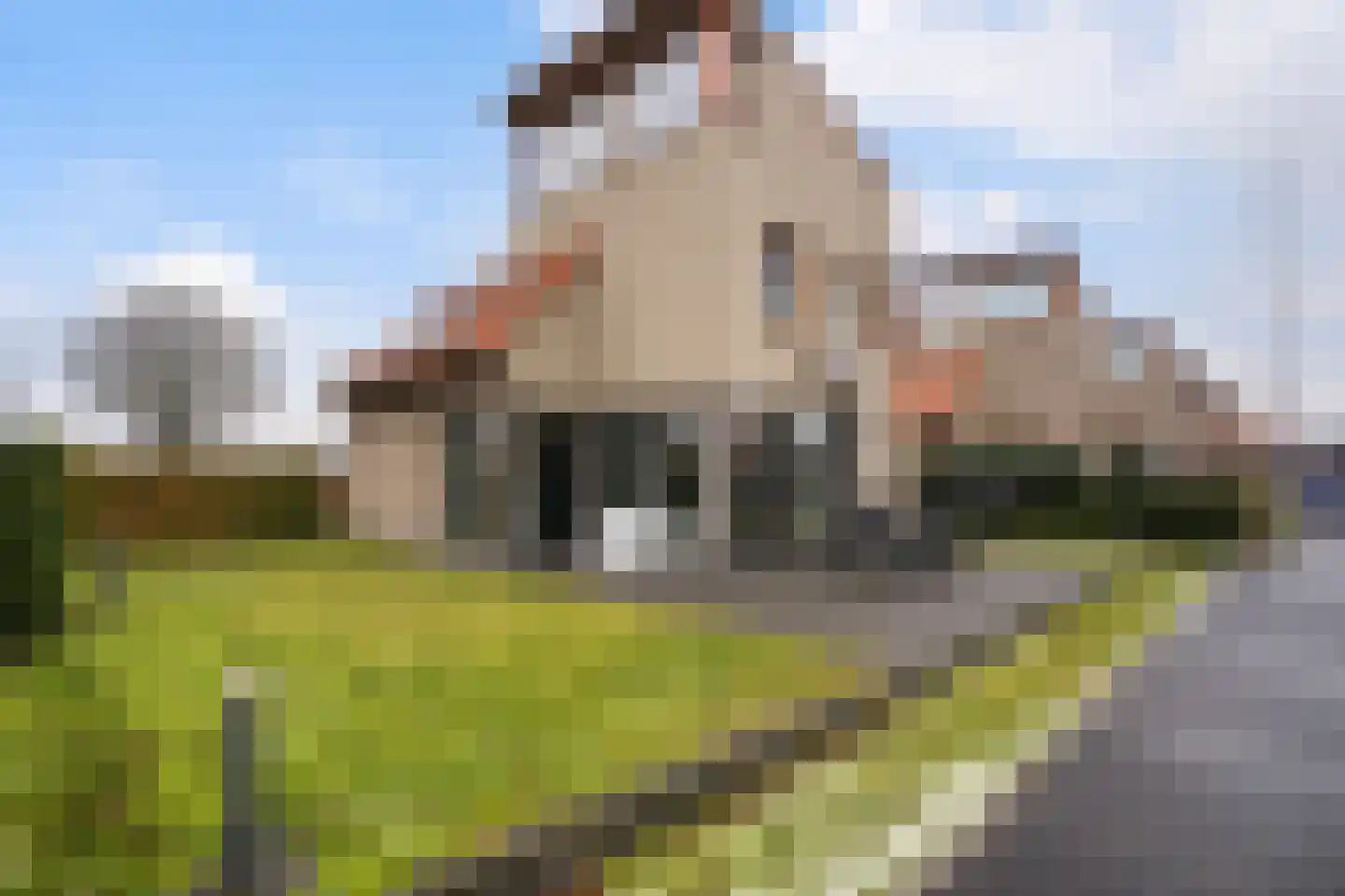 Gouden Boaijum 14 L Heeg thumbnail 47